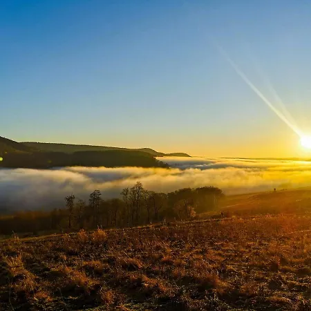 Zum Tannenwirt Apartmán Medebach