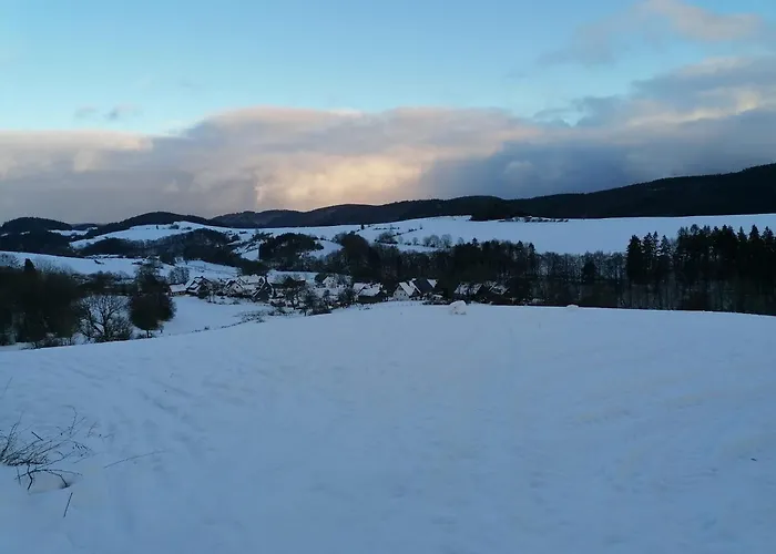 Zum Tannenwirt Medebach