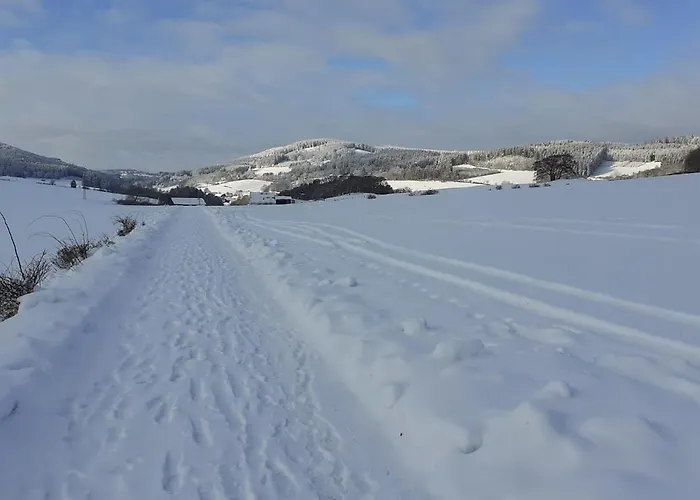 Zum Tannenwirt Appartement Medebach